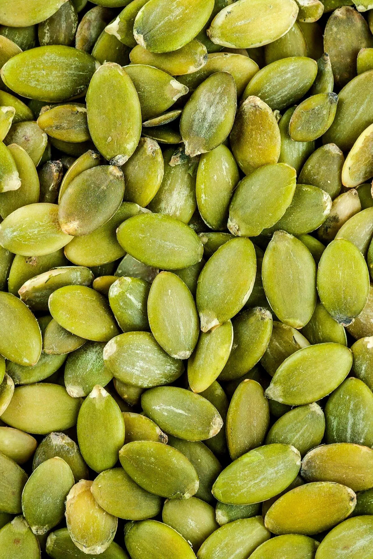 مغز کدو